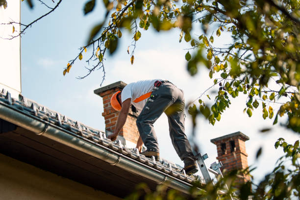 Best Roof Waterproofing Services  in Tuntutuli, AK
