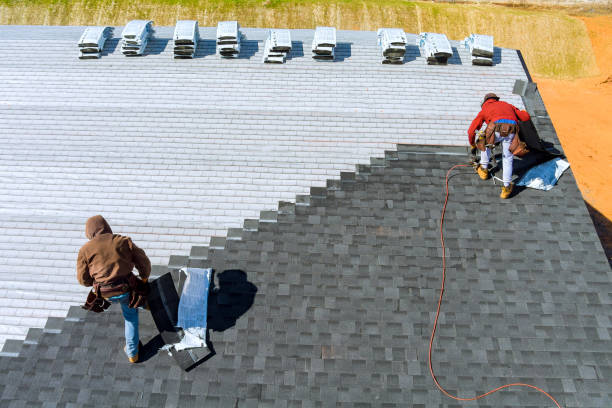 Best Roof Leak Repair  in Tuntutuli, AK