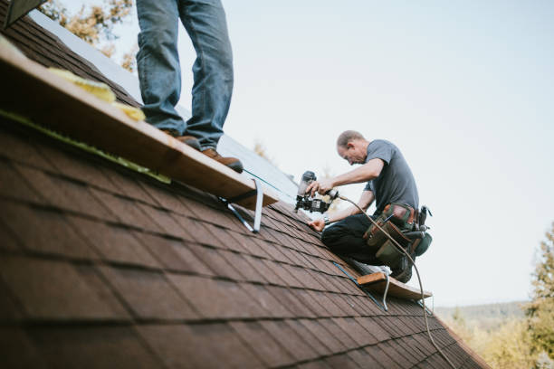 Best Shingle Roofing Installation  in Tuntutuli, AK